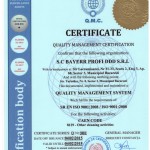 ISO 9001-2008 EN